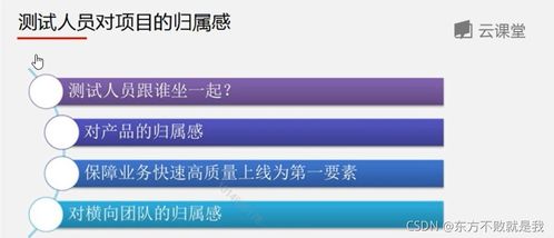 互聯(lián)網(wǎng)產(chǎn)品測(cè)試與信息安全軟件開(kāi)發(fā) 構(gòu)建可信賴(lài)的數(shù)字化未來(lái)